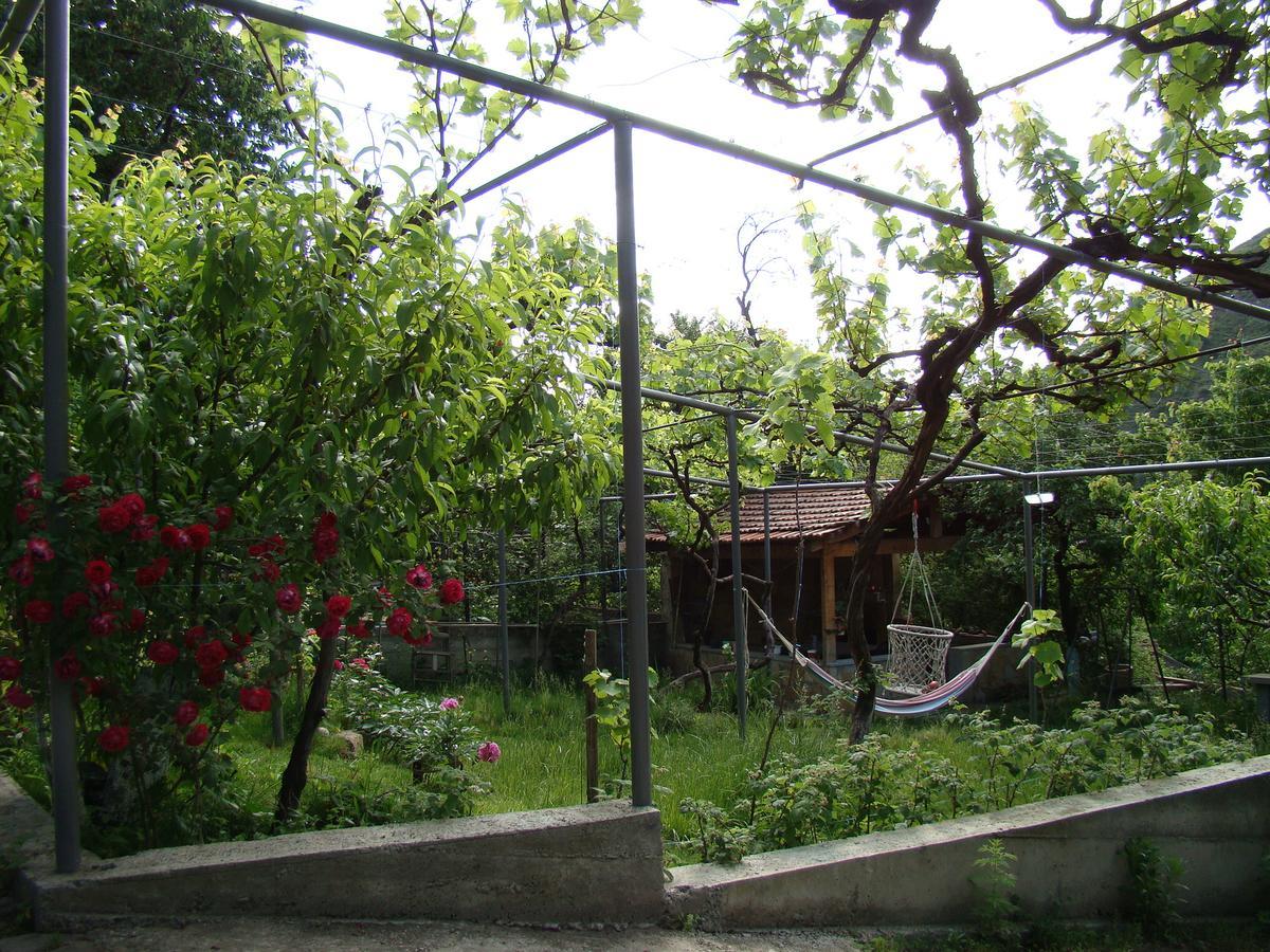 Guest House Ucha Mtsʼkhetʼa Zewnętrze zdjęcie