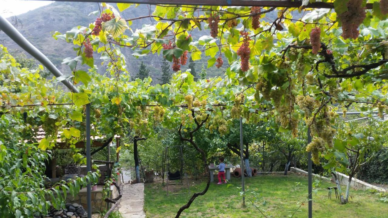 Guest House Ucha Mtsʼkhetʼa Zewnętrze zdjęcie