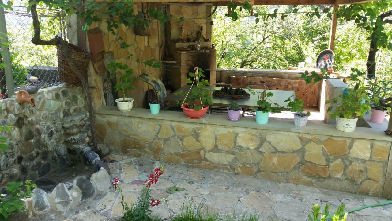 Guest House Ucha Mtsʼkhetʼa Zewnętrze zdjęcie