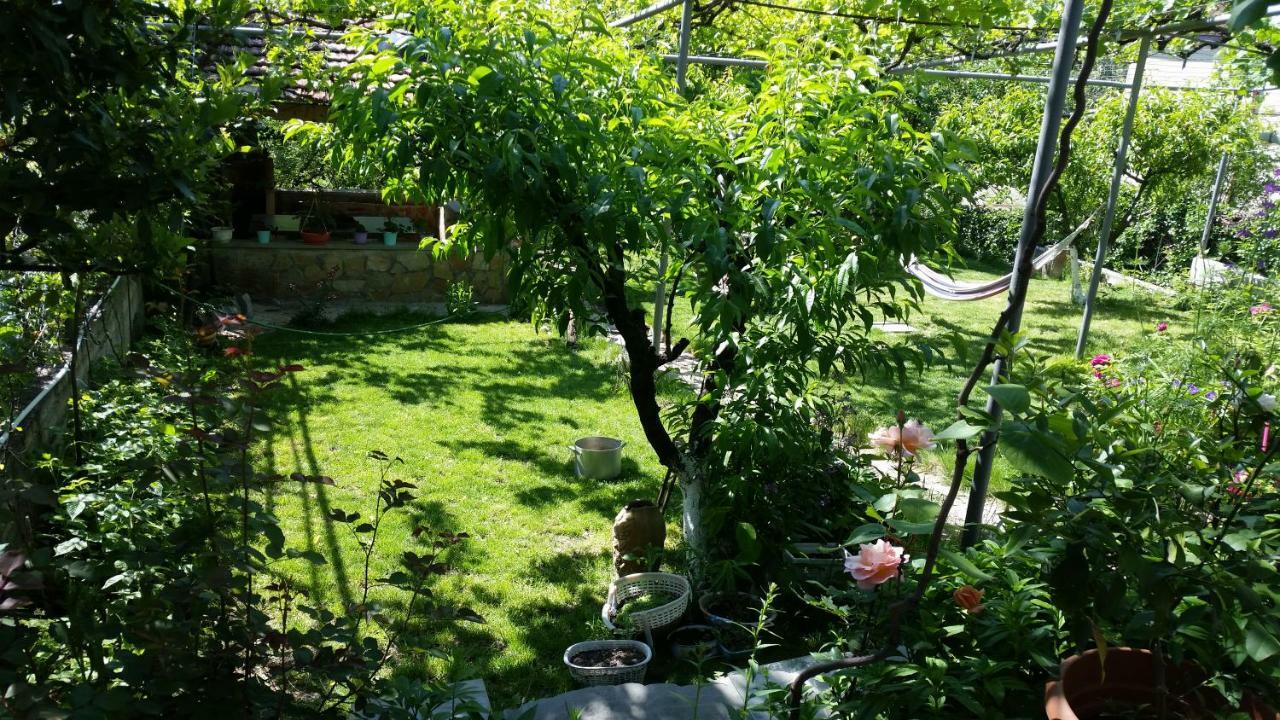 Guest House Ucha Mtsʼkhetʼa Zewnętrze zdjęcie