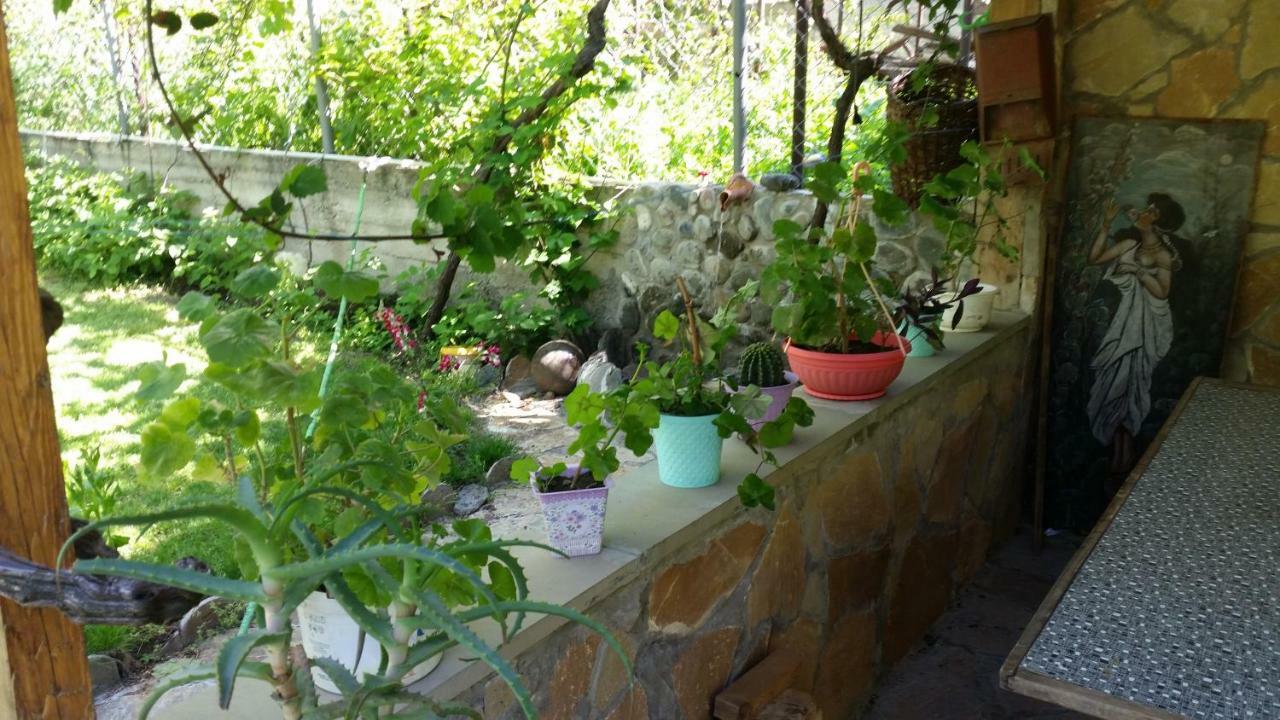 Guest House Ucha Mtsʼkhetʼa Zewnętrze zdjęcie