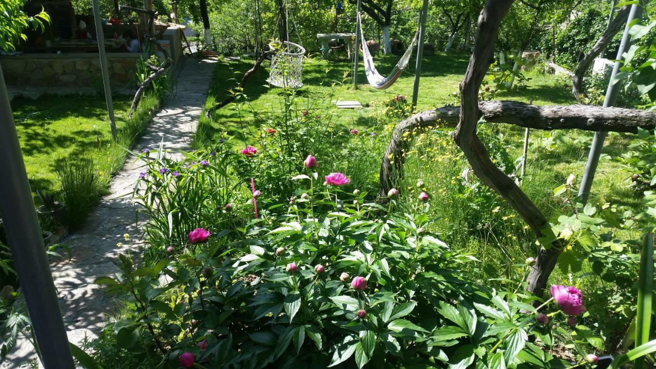 Guest House Ucha Mtsʼkhetʼa Zewnętrze zdjęcie
